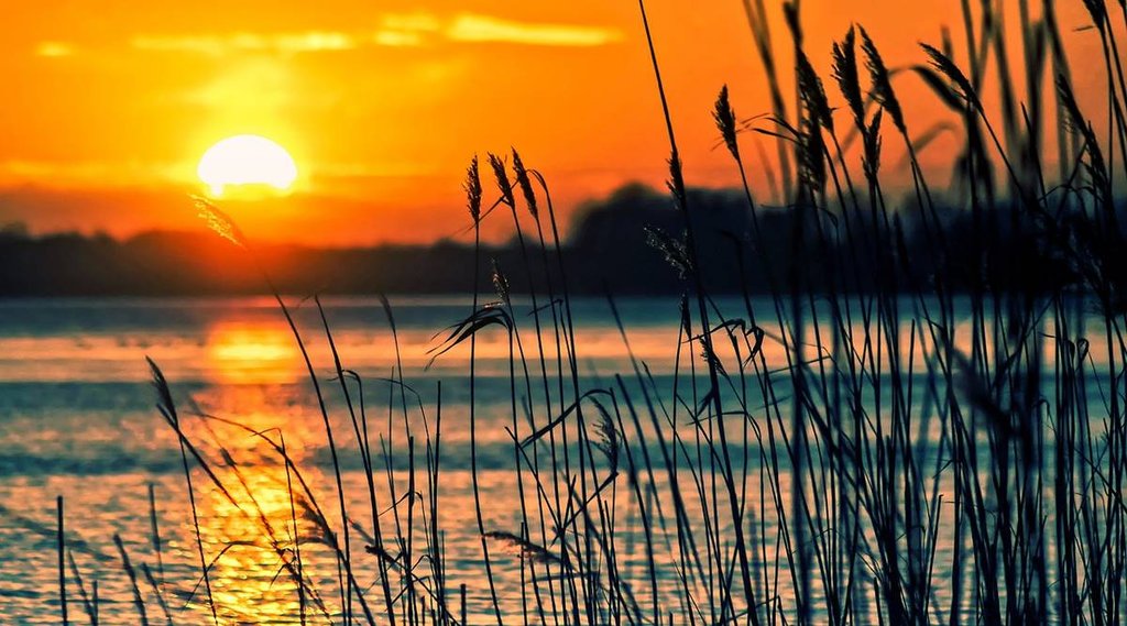 Vrishchik Sankranti,Vrishchik Sankranti 2022,Vrishchik Sankranti 2022 date,Vrishchik Sankranti shubh muhurat,
