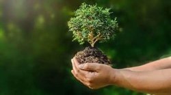 Environment Management : पर्यावरण प्रबंधन में हरा भरा भविष्य