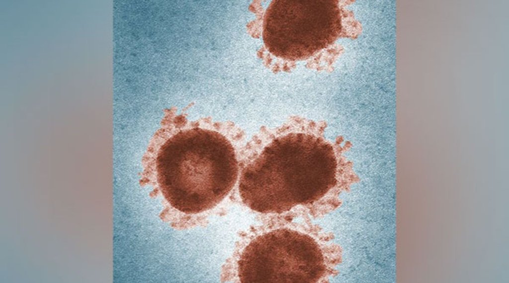 zombie virus| new virus discovered| corona virus