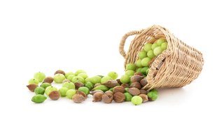 indian gooseberry health benefits,indian gooseberry