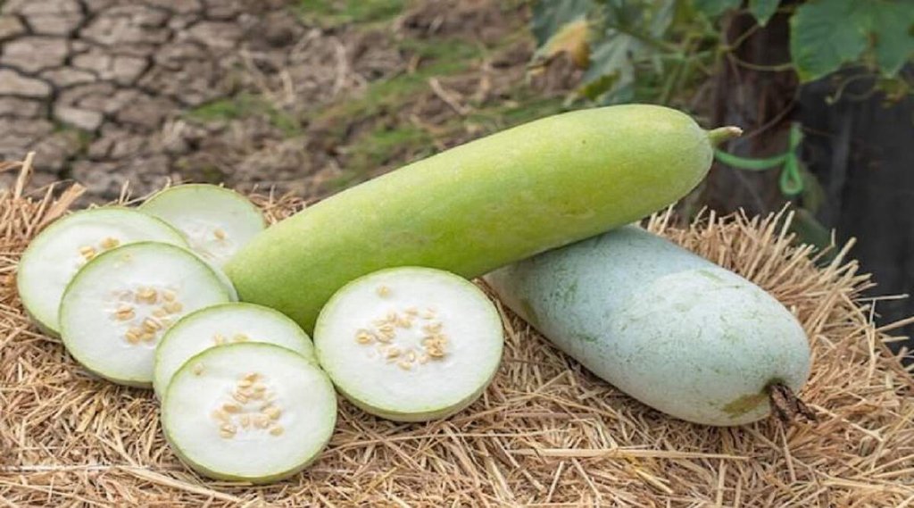 Side Effects of Ash Gourd, benefits of Ash Gourd