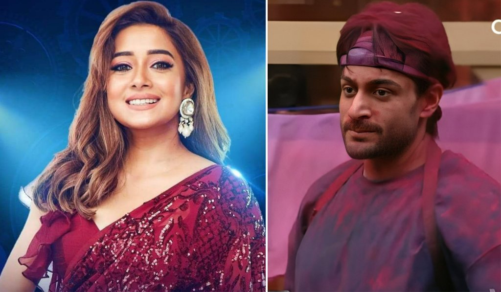 Bigg boss 16, shalin bhanot, tina dutta, entertainment news, tv news
