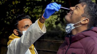 COVID-19 Test| Nasal Vaccine| Bharat Biotech