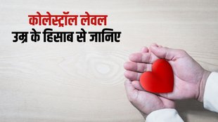 what is your normal cholesterol level, what is good and bad cholesterol, what is cholestrol, what food causes high cholesterol