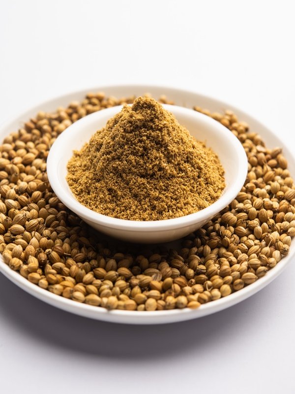 Indian spice Heap of Coriander powder or Dhaniya Powder or Chinese parsley dried seeds, selective focus