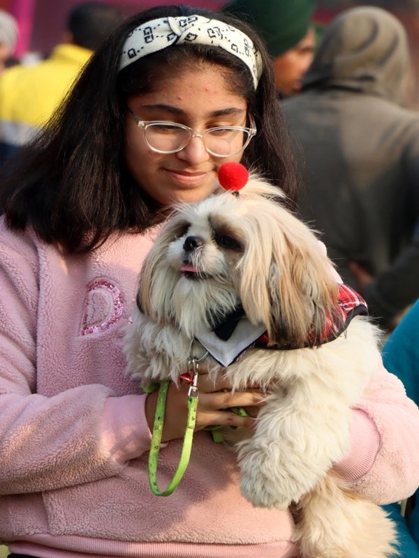 DOG SHOW IN LUDHIANA
