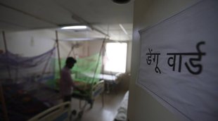 Dengue Patients