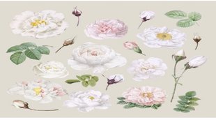 Flower Astrology, importance of white flower in puja, white flower importance