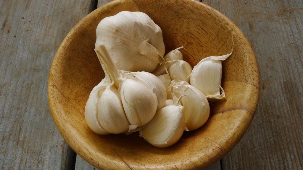 Benefits of Garlic, Diet of Sugar Patient, Garlic Beneficial,
