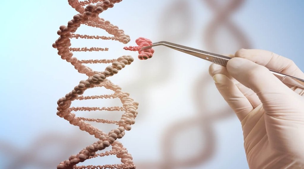 genetic engineering opertunity