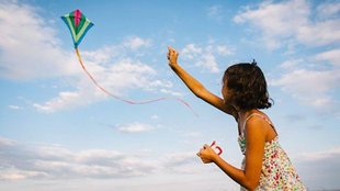 kite fly in Air