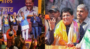 MCD Election, Polls