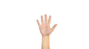 Palmistry,astro news, astro news hindi