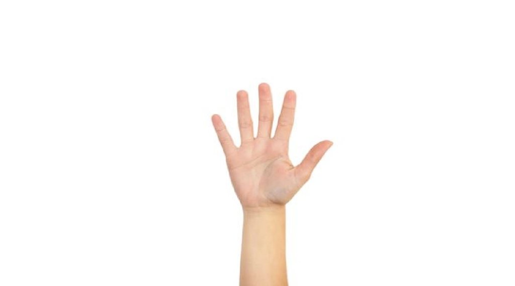 Palmistry,astro news, astro news hindi