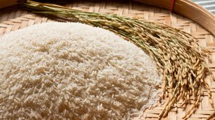 cholesterol diet, cholesterol diet food chart, how to control bad cholesterol in body