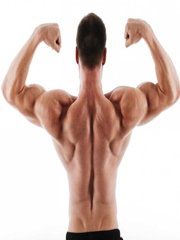 SUPERFOODS FOR MUSCLES