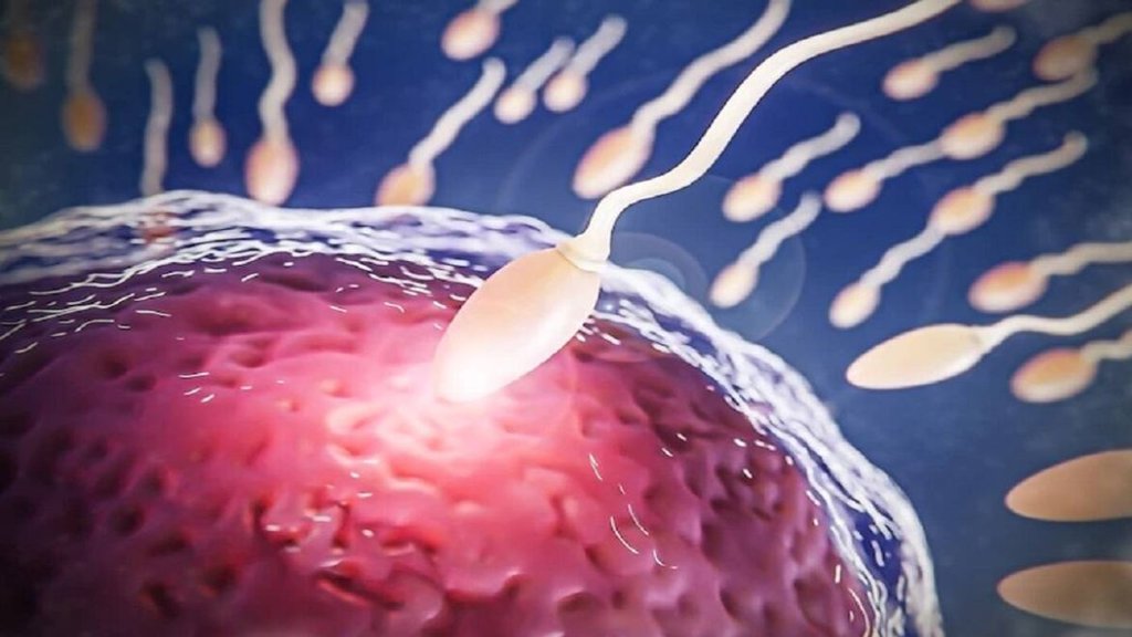 sperm, sperm count, low sperm count,