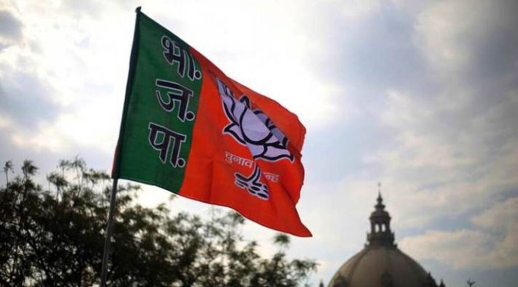 assembly elections| loksabha election | bjp|