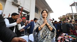 By-Election Results 2022: मैनपुरी से जीतीं डिंपल यादव, रामपुर में BJP का उलटफेर; देखें उप-चुनाव का पूरा रिजल्ट