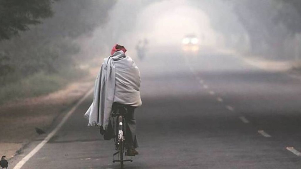 Weather Forecast, Cold Wave, IMD Weather Forecast,