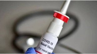 nasal corona vaccine | bharat biotech | coronavirus