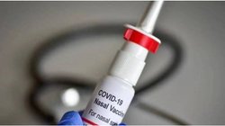Nasal Vaccine Price: क्या है भारत बायोटेक की नेजल वैक्सीन की कीमत? जानिए कितना लगेगा GST और कितना होगा अस्पताल का चार्ज