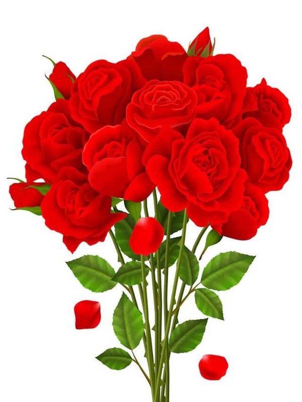 VASTU TIPS - RED ROSES