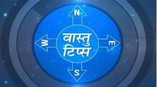 Vastu Tips, Vastu Tips hindi, किन पौधे को घर पर नहीं लगाना चाहिए