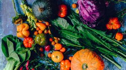 Winter Veggies: ठंड में खाएं ये 5 सब्जियां, ब्लड शुगर लेवल के साथ बीपी भी रहेगा रहेगा नॉर्मल; एक्सपर्ट से जानिए