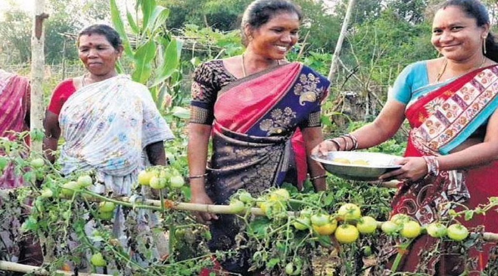 traditional agriculture