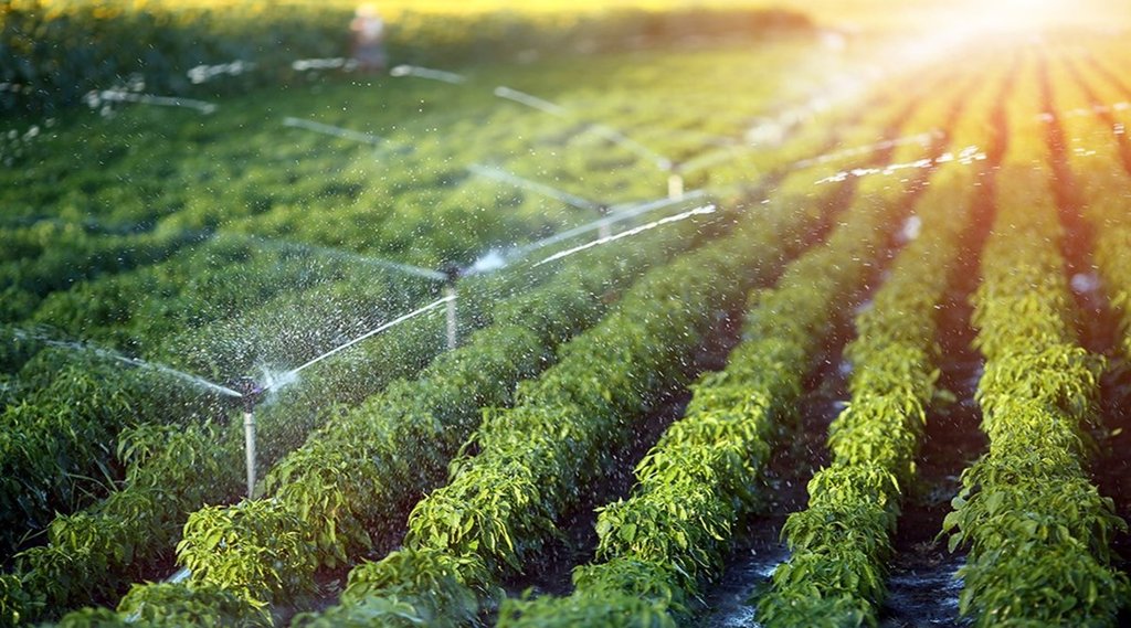 Rajasthan Irrigation crisis