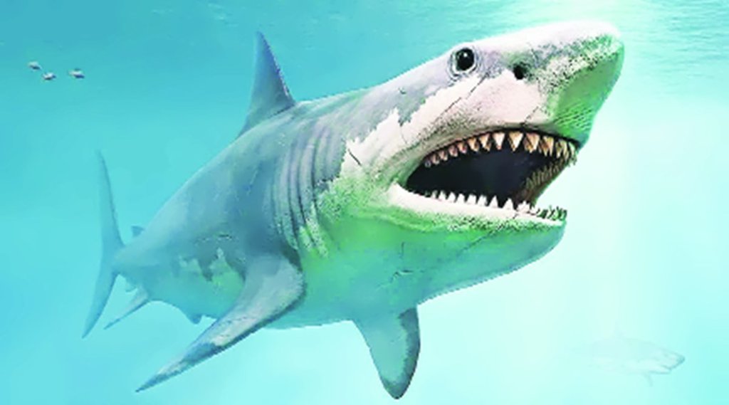 species are on verge