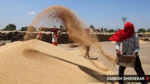 free food grain| PMGKAY