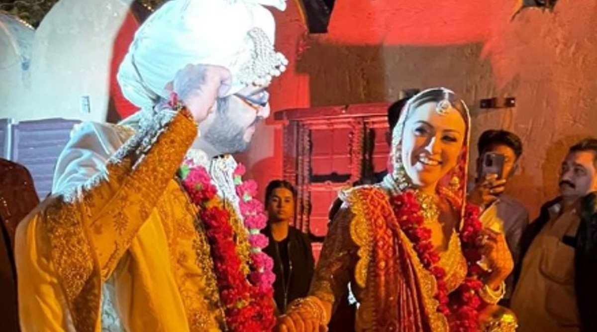 Hansika Motwani, Hansika Motwani wedding