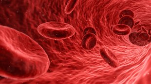 hemoglobin levels by age, Normal hemoglobin levels by age, hemoglobin,