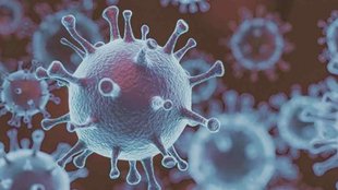 india covid 19| infection| spread