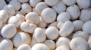 Pregnancy, Pregnancy and mushroom, Pregnancy eating tips, food and health tips,