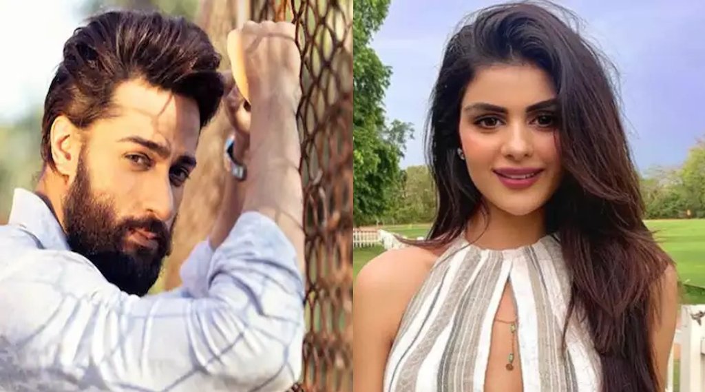 Shalin Bhanot, Priyanka chahar, Bigg boss 16