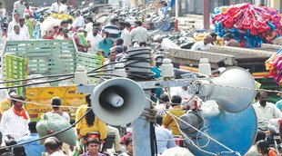 sound pollution crisis