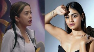 Biggboss 16, Bigg Boss wild card