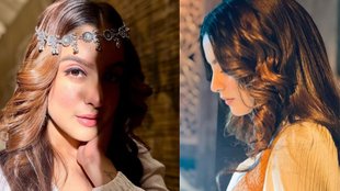 tunisha sharma death, Bollywood News