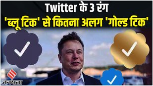Blue Tick, Elon Musk