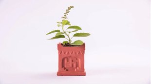 Astro Tips,vastu tips, तुलसी रखने के नियम, तुलसी का पौधा, तुलसी लगाने के फायदे