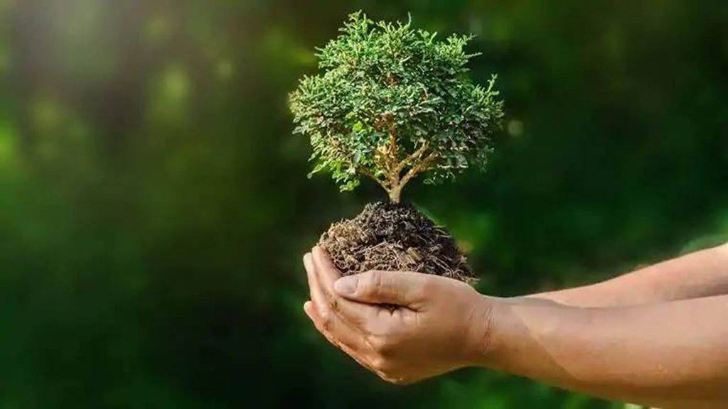 India | pollution| environment