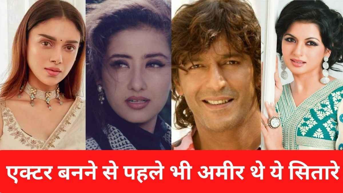 Manisha koirala, Chunky pandey, bhagyashree, aditi rao hydery, ameer actors