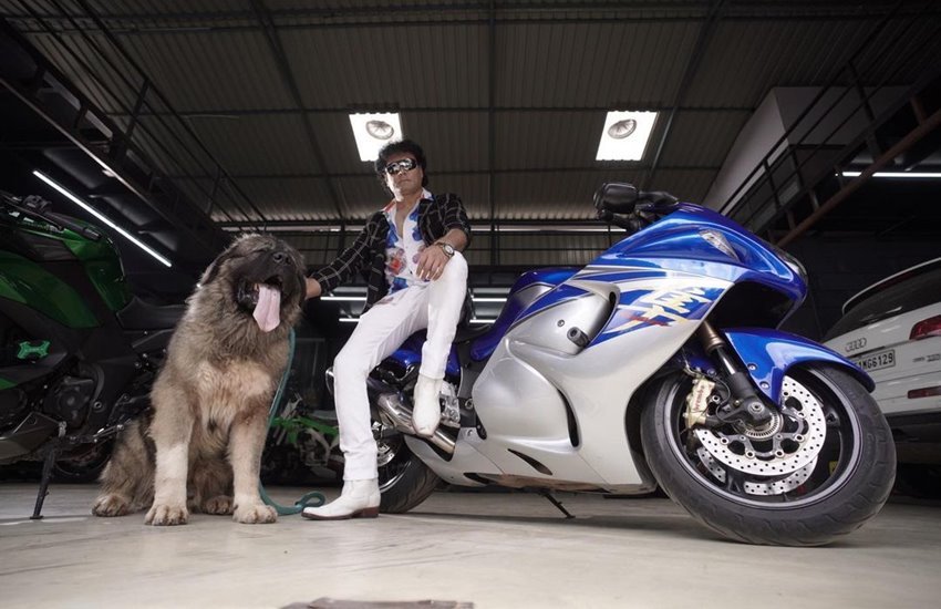 Dog with Man