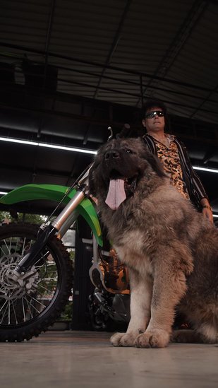 Satish 2 and his Dog
