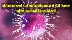 AIIMS Study Report: कोरोना झेल चुके लोगों के स्‍पर्म में आई कई तरह की द‍िक्‍कत  