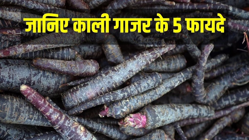black carrots, black gajar, black carrot Benefits