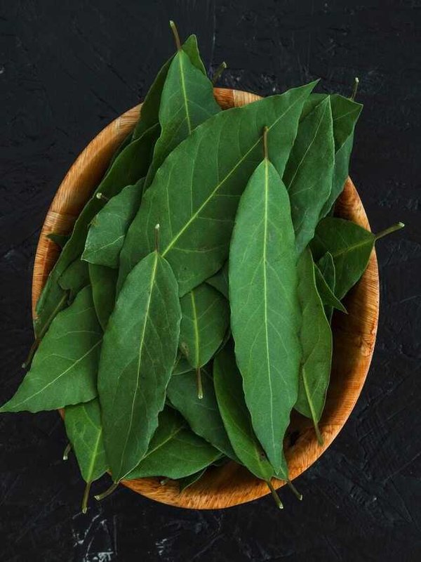 CURRY LEAVES - BENEFITS